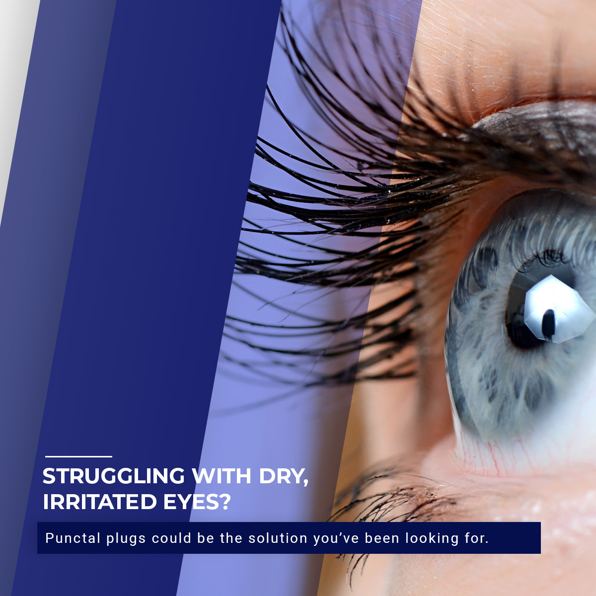 Campaign Image